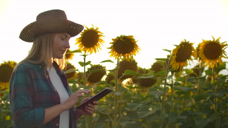 A-female-student-walks-across-a-field-with-large-sunflowers-and-writes-information-about-it-in-her-electronic-tablet-in-nature.